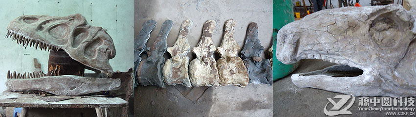 恐龙骨骼化石制作