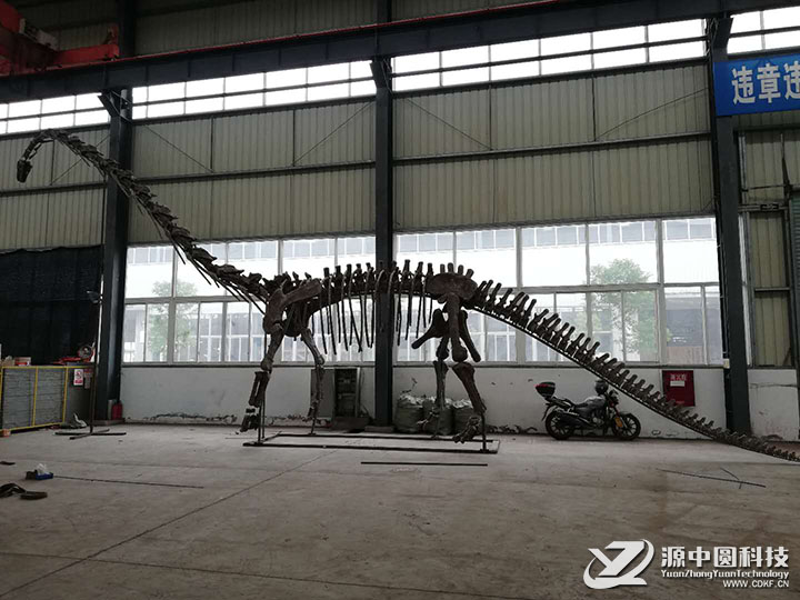 恐龙化石 梁龙化石 恐龙模型 仿真恐龙 电动仿真恐龙  恐龙模型工厂 恐龙制造商