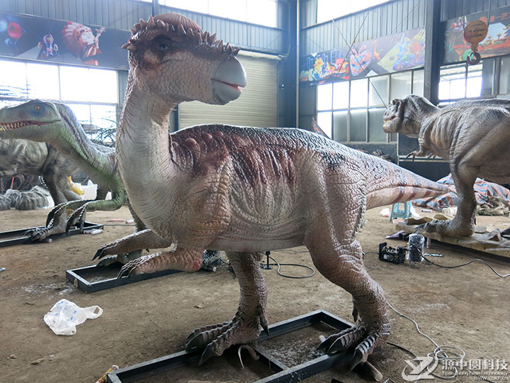 仿真恐龙 仿真肿头龙 恐龙模型 恐龙雕塑模型