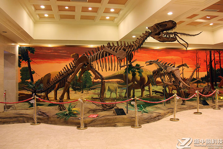 博物馆仿真恐龙化石装饰