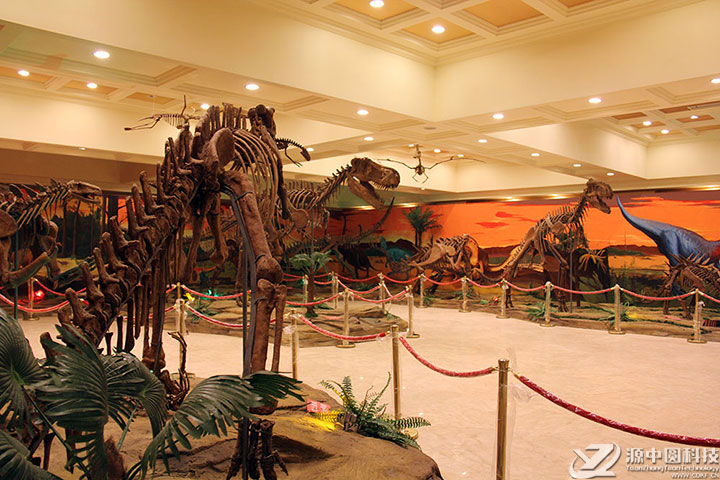 博物馆仿真恐龙化石装饰