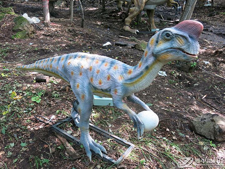 仿真窃蛋龙 仿真偷蛋龙  窃蛋龙机模 仿真恐龙 恐龙模型 恐龙工厂 恐龙厂家