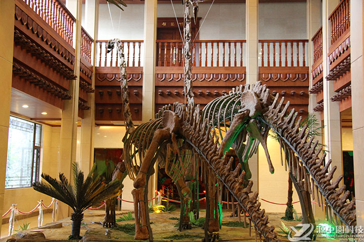 博物馆用的仿真恐龙