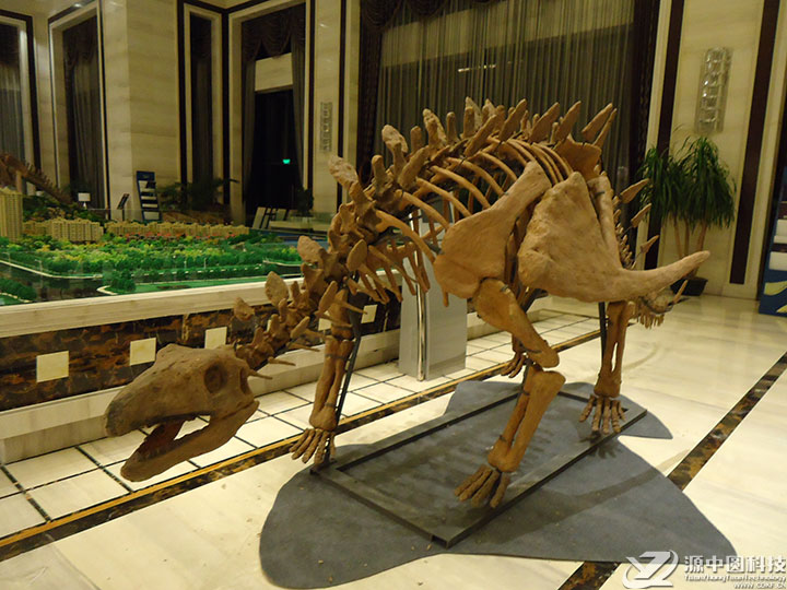 仿真恐龙化石  恐龙化石模型 