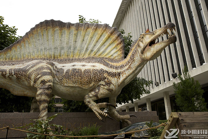 仿真棘背龙 仿真恐龙  恐龙模型  恐龙雕塑  景点恐龙打造公司