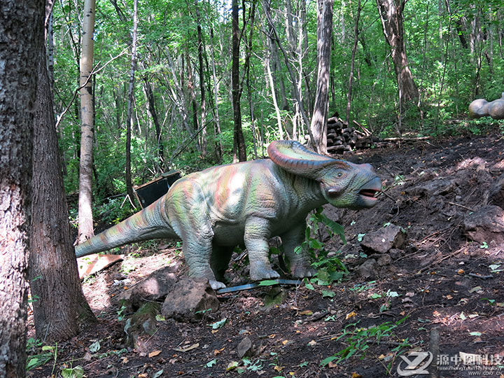 仿真恐龙模型 定制恐龙模型 仿真恐龙厂家 恐龙定制