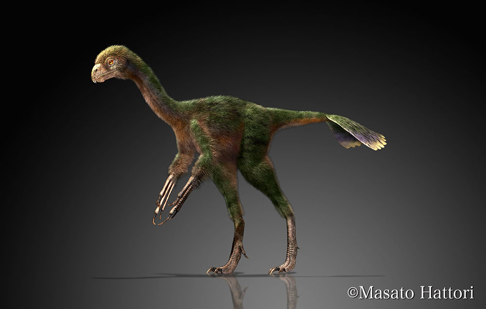 原始祖鸟，恐龙图片，恐龙图库