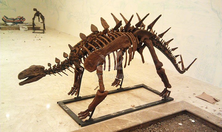 博物馆恐龙化石安装