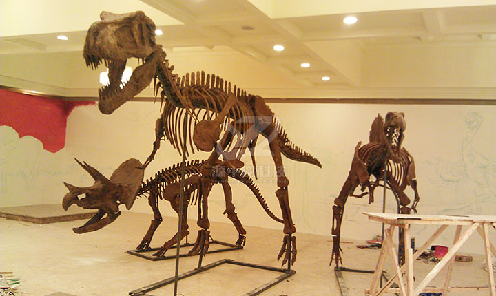 博物馆恐龙化石安装