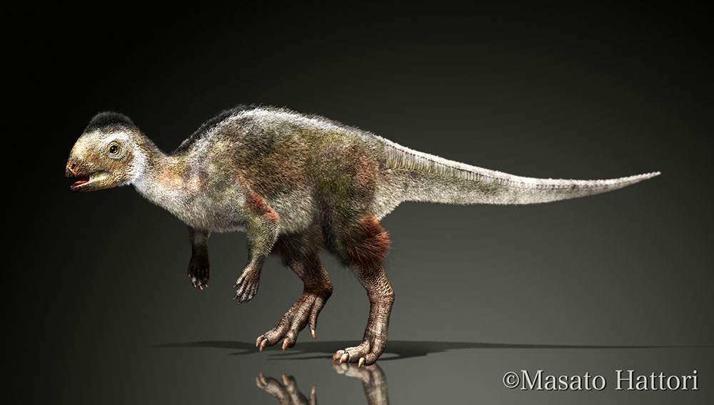 Kulindadromeus zabaikalicus，恐龙图片，恐龙图库