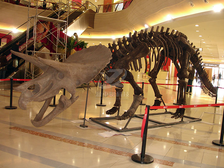 商场恐龙化石安装