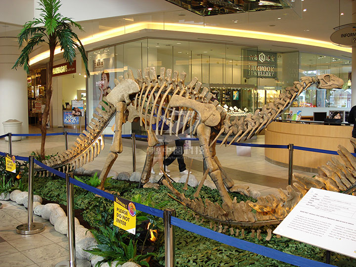 恐龙化石雕塑展，恐龙化石模型，仿真恐龙化石