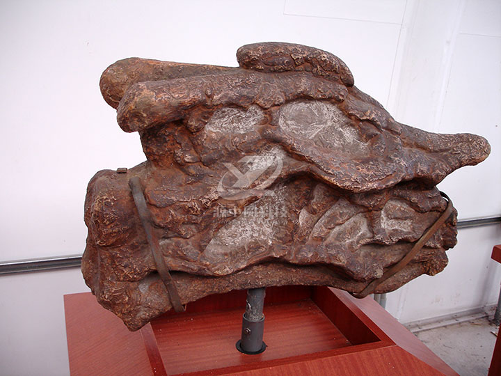 恐龙化石模型定制，恐龙化石雕塑