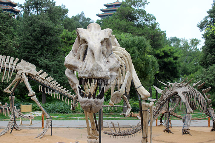 恐龙骨头雕塑