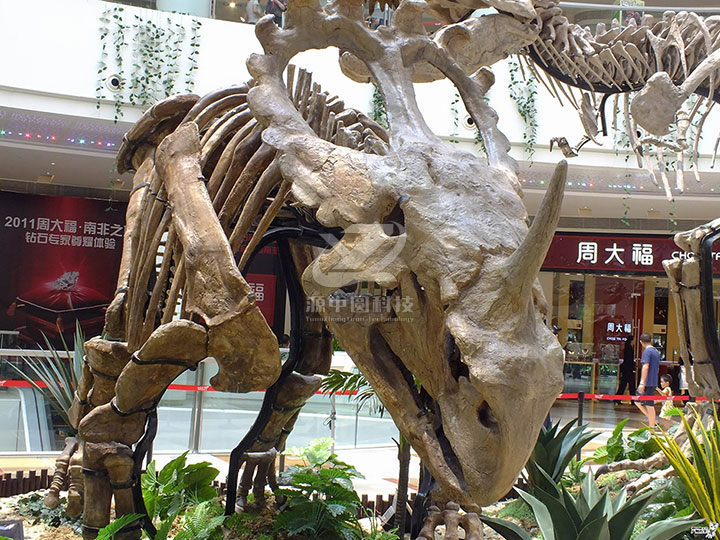 恐龙骨骼雕塑，恐龙化石展