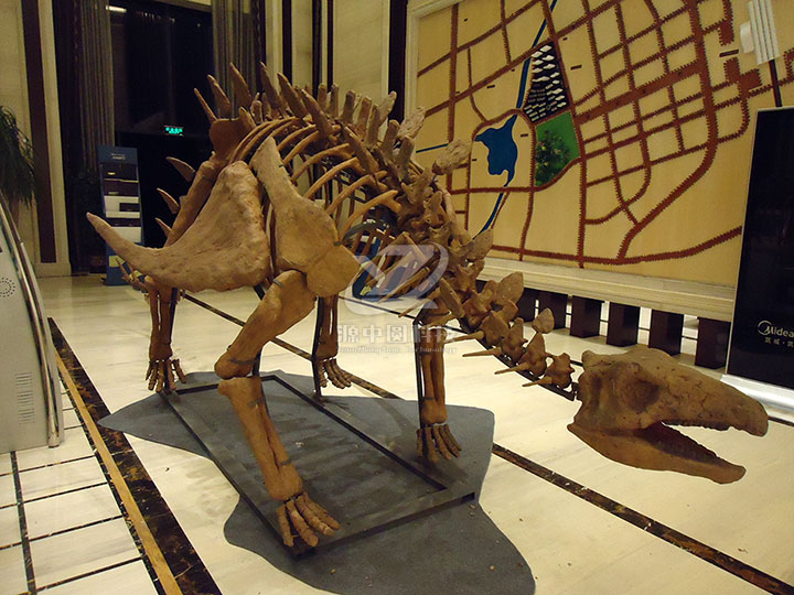恐龙化石组装_恐龙工厂_自贡大型仿真动物恐龙模型制作厂家机模动雕